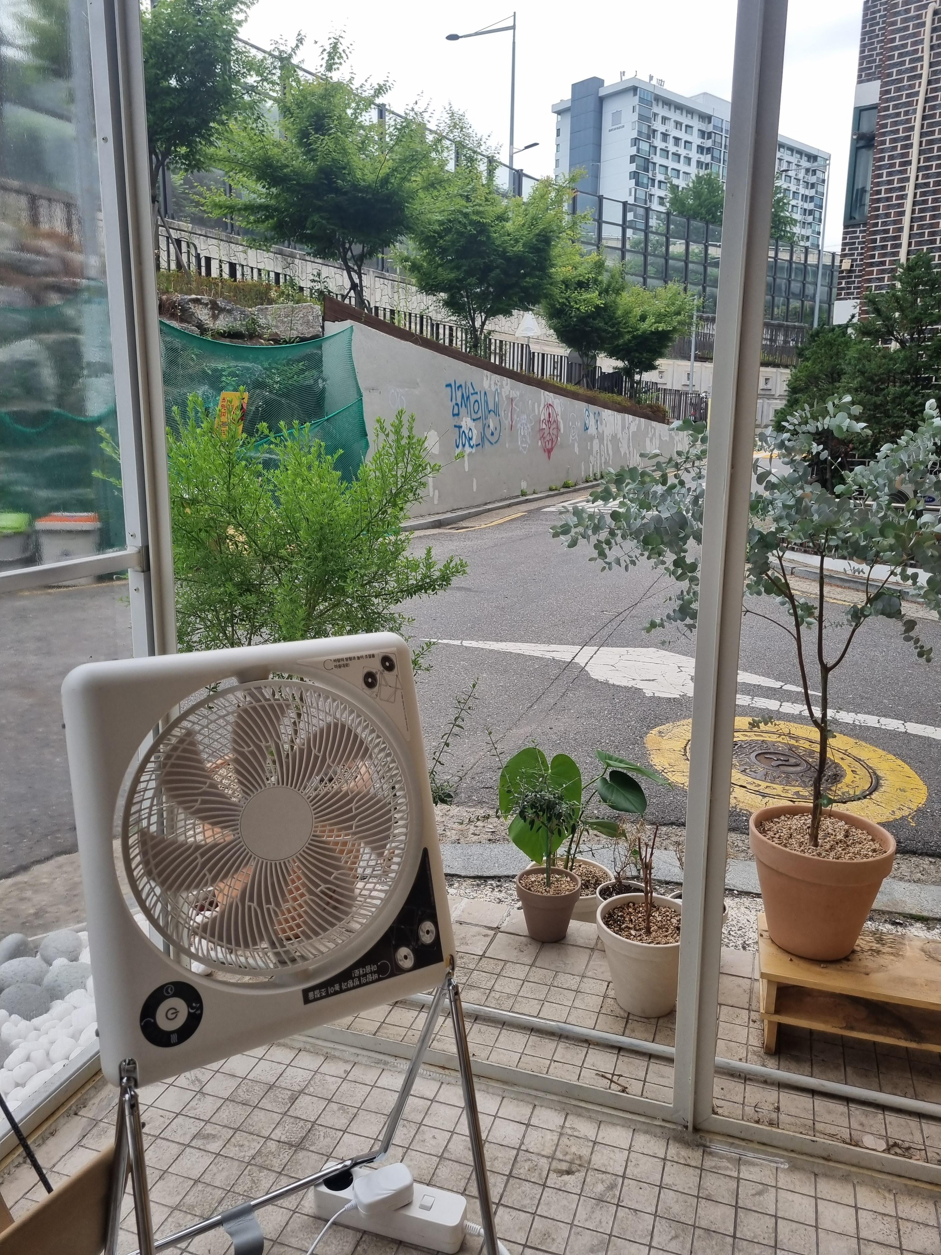 윤세영 식당