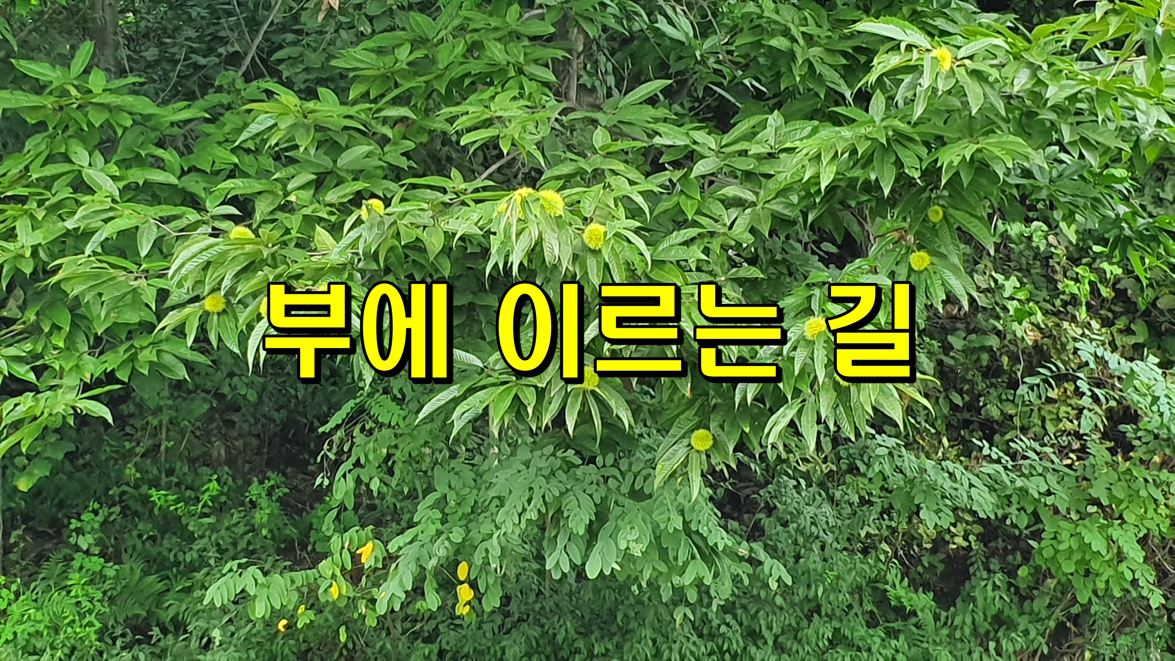  부에 이르는 길 [성장 명언]