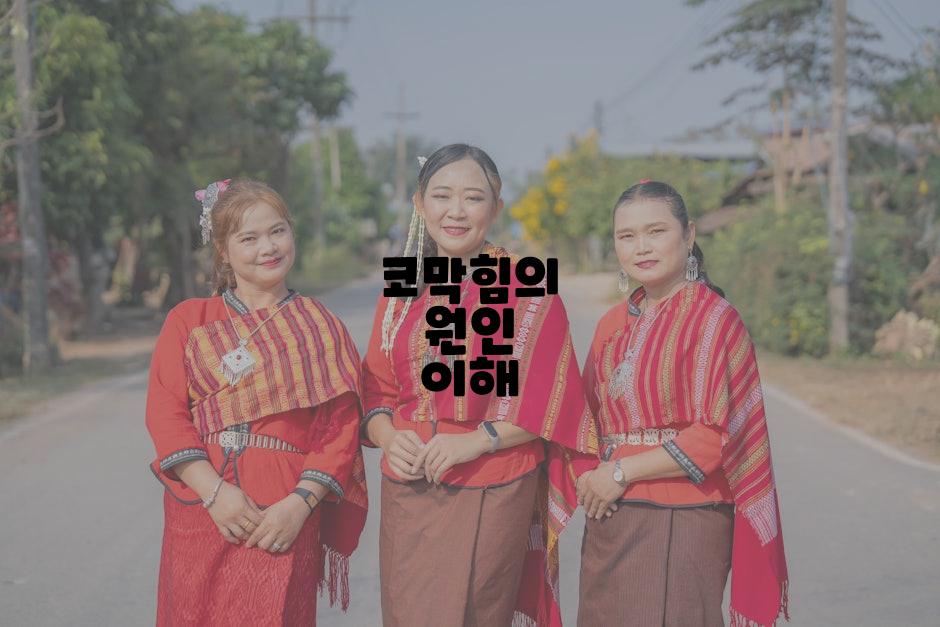 코막힘의 원인 이해