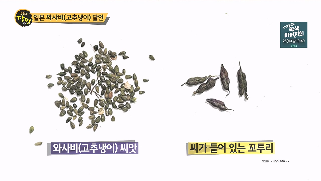 생활의 달인.E908.231017p-NEXT.mp4_20231017_200453.318.jpg