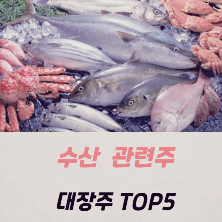 수산 관련주 대장주 테마주 수혜주 TOP5