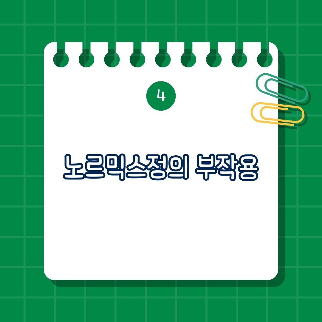 5_노르믹스정 부작용은 소화기 계통 부작용, 알레르기 반응, 드물지만 주의해야 할 부작용