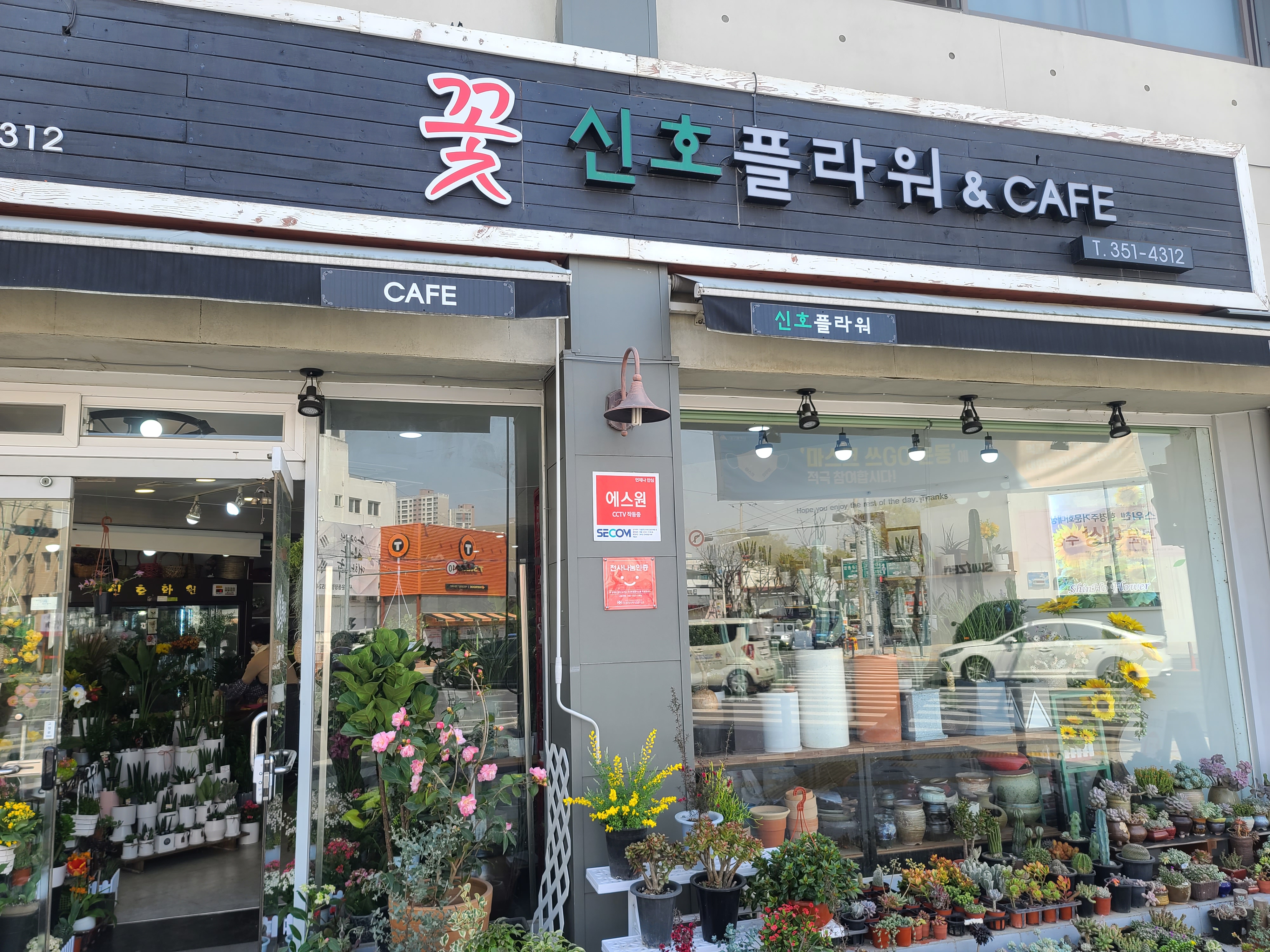  그냥일상_대구 꽃집 너무 친절하고~ 가격도 참 아름답다! 사장님 감사해요~!신호플라워~! 강추