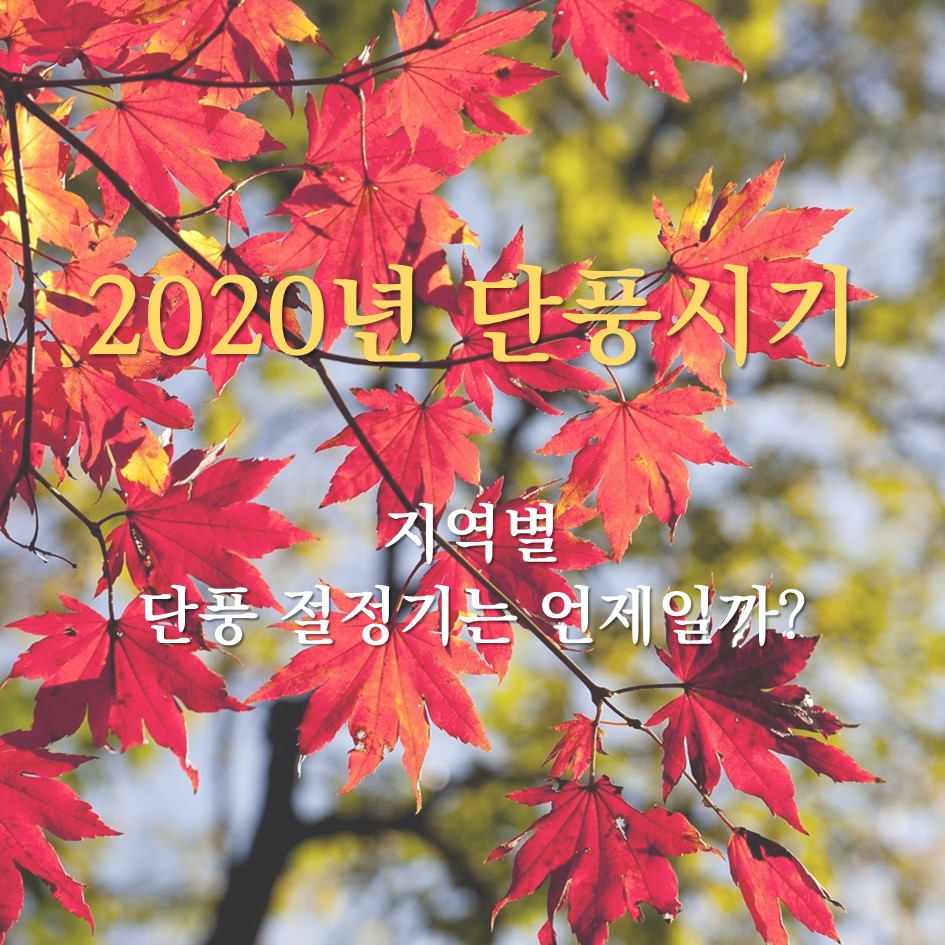  2020년 단풍시기는 언제일까?