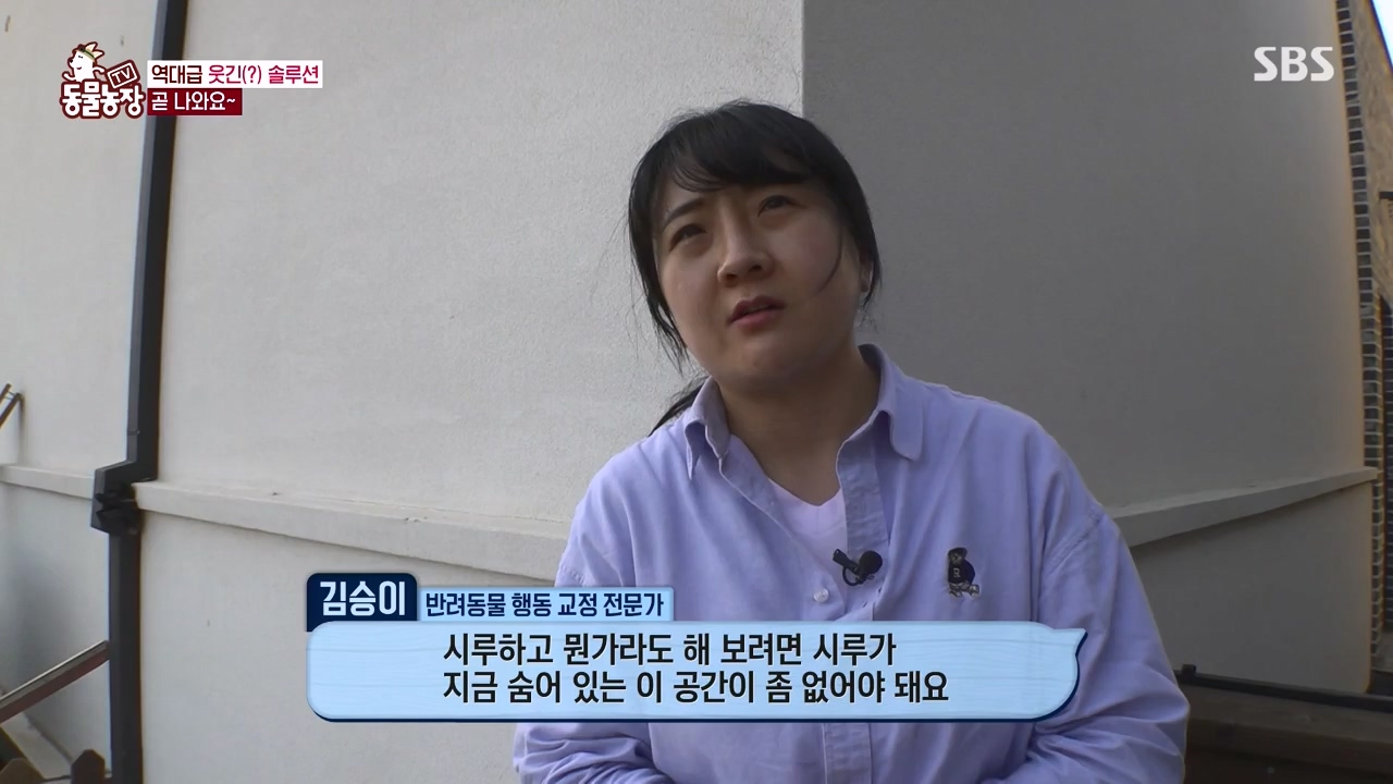 TV 동물농장.E1172.240520p-NEXT.mp4_20240519_165242.624.jpg