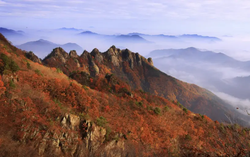 구봉산 이미지