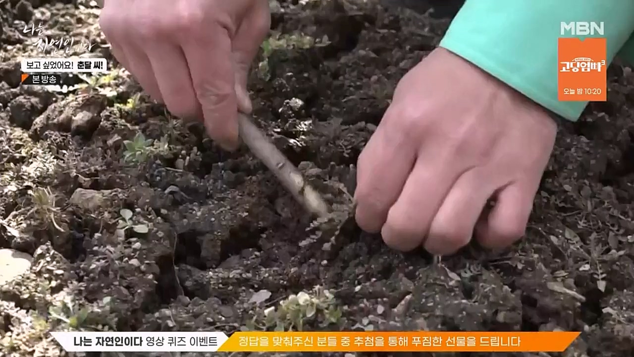 나는 자연인이다.E548.230406p-NEXT.mp4_20230406_195746.668.jpg