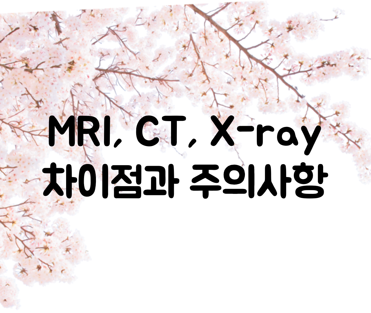  mri와 ct의 차이점, mri ct x-ray 차이