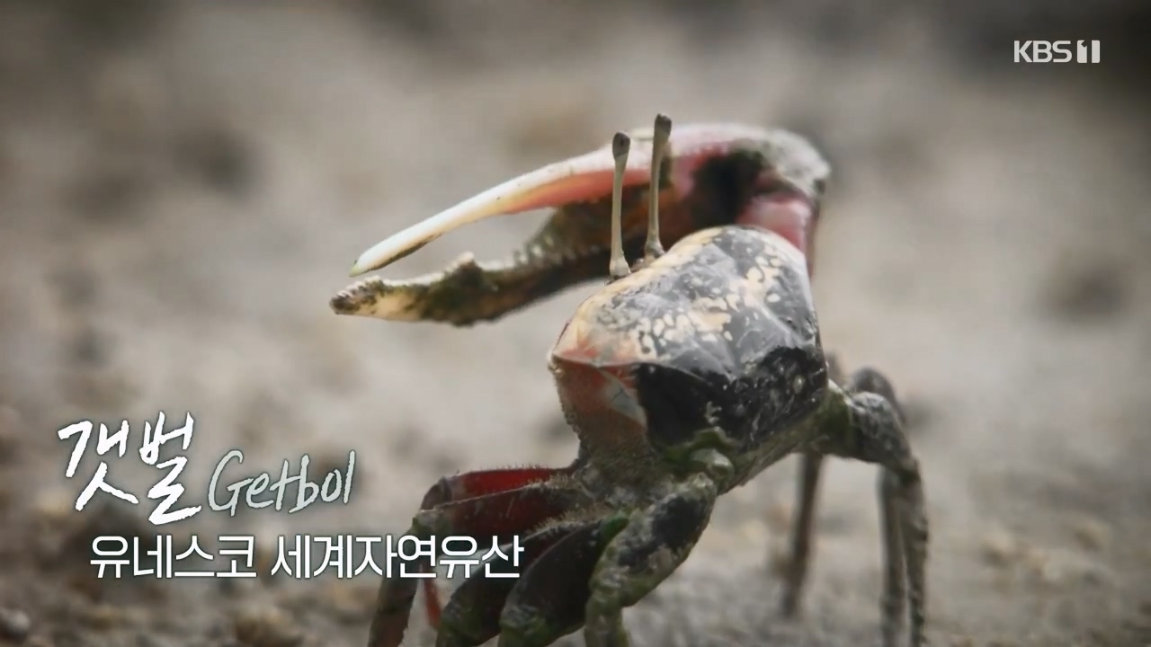 다큐 온.E206.230723p-NEXT.mp4_20230724_211923.379.jpg