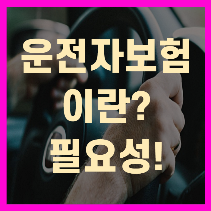  운전자보험이란 무엇일까요?(+꼼꼼정리)