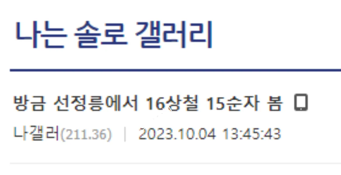 디시 나는 솔로 갤러리에 올라온 글. 제목 &#39;방금 선정릉에서 16상철 15순자 봄.&#39;