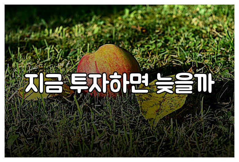 지금 투자하면 늦을까