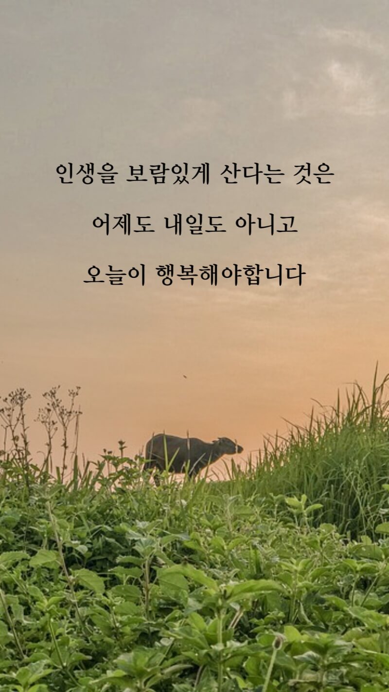 근사하고 멋있는 아침 인사 문구 이미지