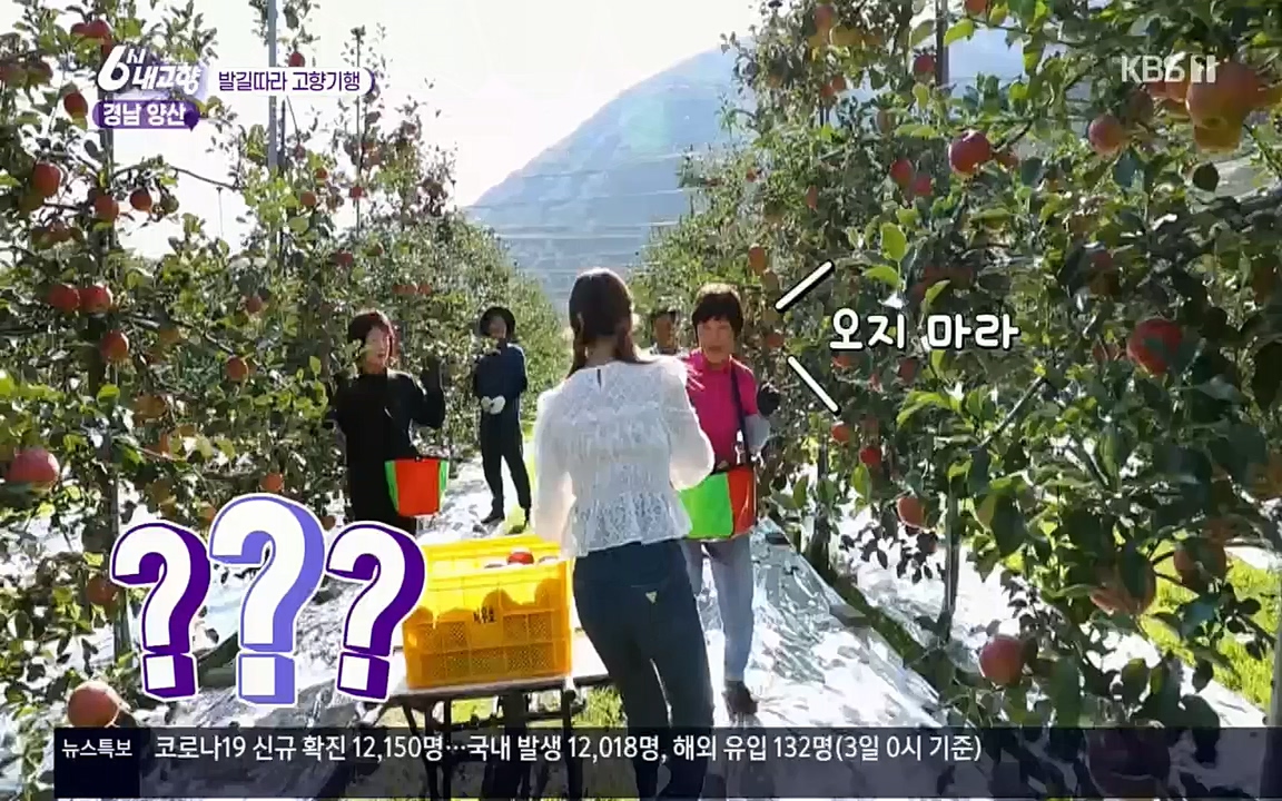 6시 내고향.E7630.221004p.H264-F1RST.mp4_20221004_213257.173.jpg