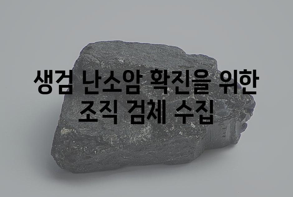 생검 난소암 확진을 위한 조직 검체 수집