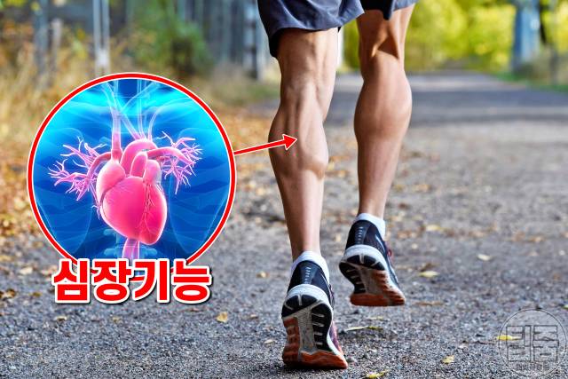 하루 30분 걷기로 피할 수 있는 암 13,하루30분걷기 효과 심장 혈압