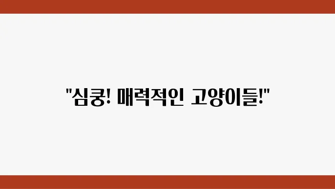 예쁜 고양이 종류 TOP 5 입양하기 좋은 고양이