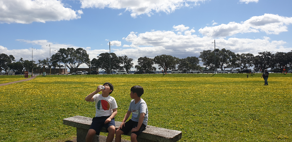 Orakei Domain