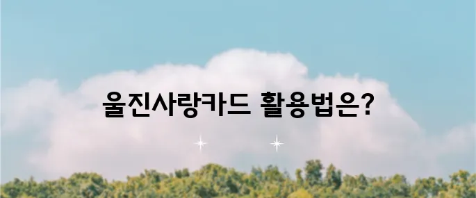 울진사랑카드 혜택 누리기와 발급 사용방법 알아보기!