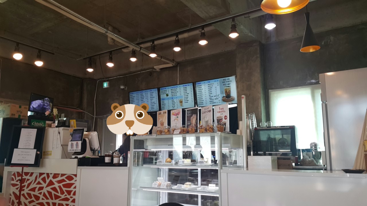  세명대 저렴한 카페 phiphi와 의림지 솔밭공원에 다녀왔어요