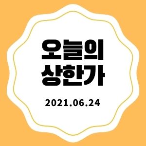  6월 24일 상한가 종목 + 마감시황 (한세엠케이, 네오오토, 솔고바이오)