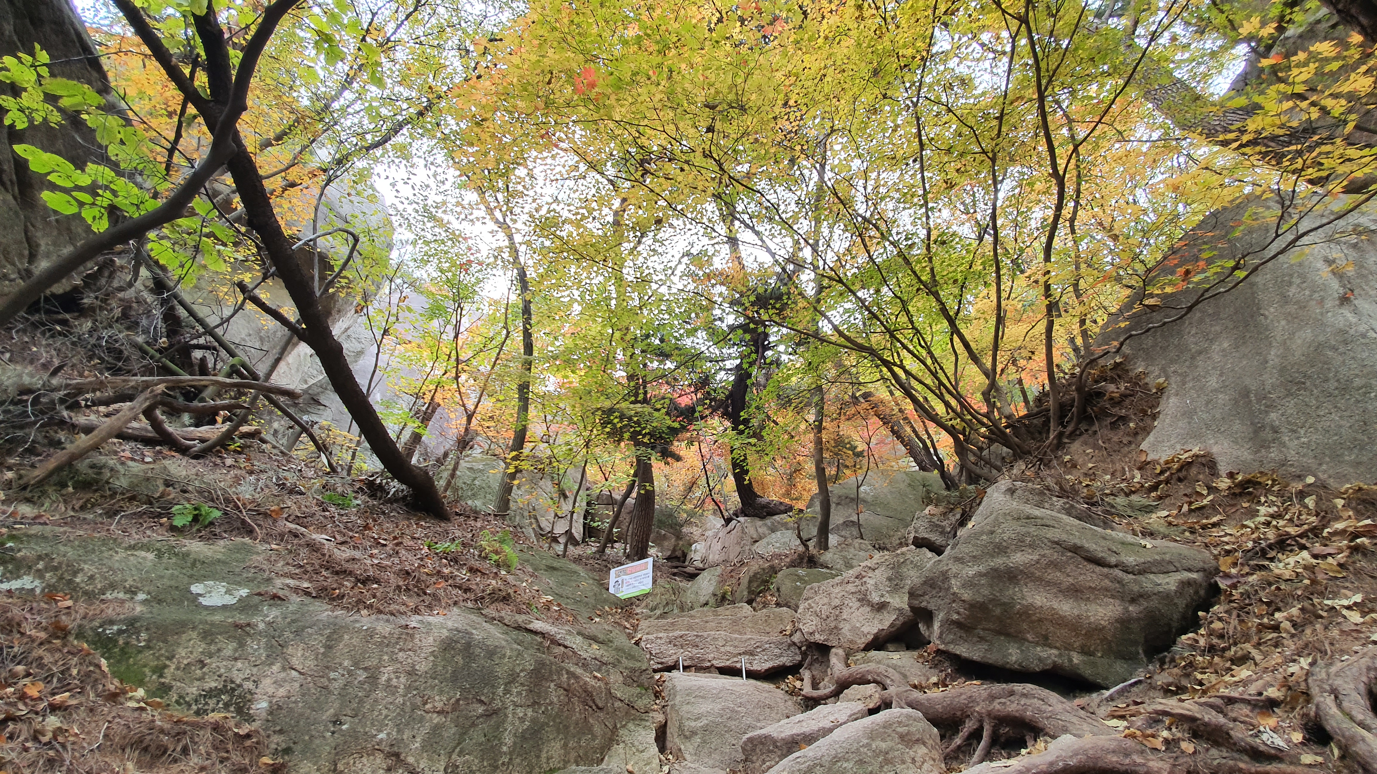 북한산 (2020-10-21) 41