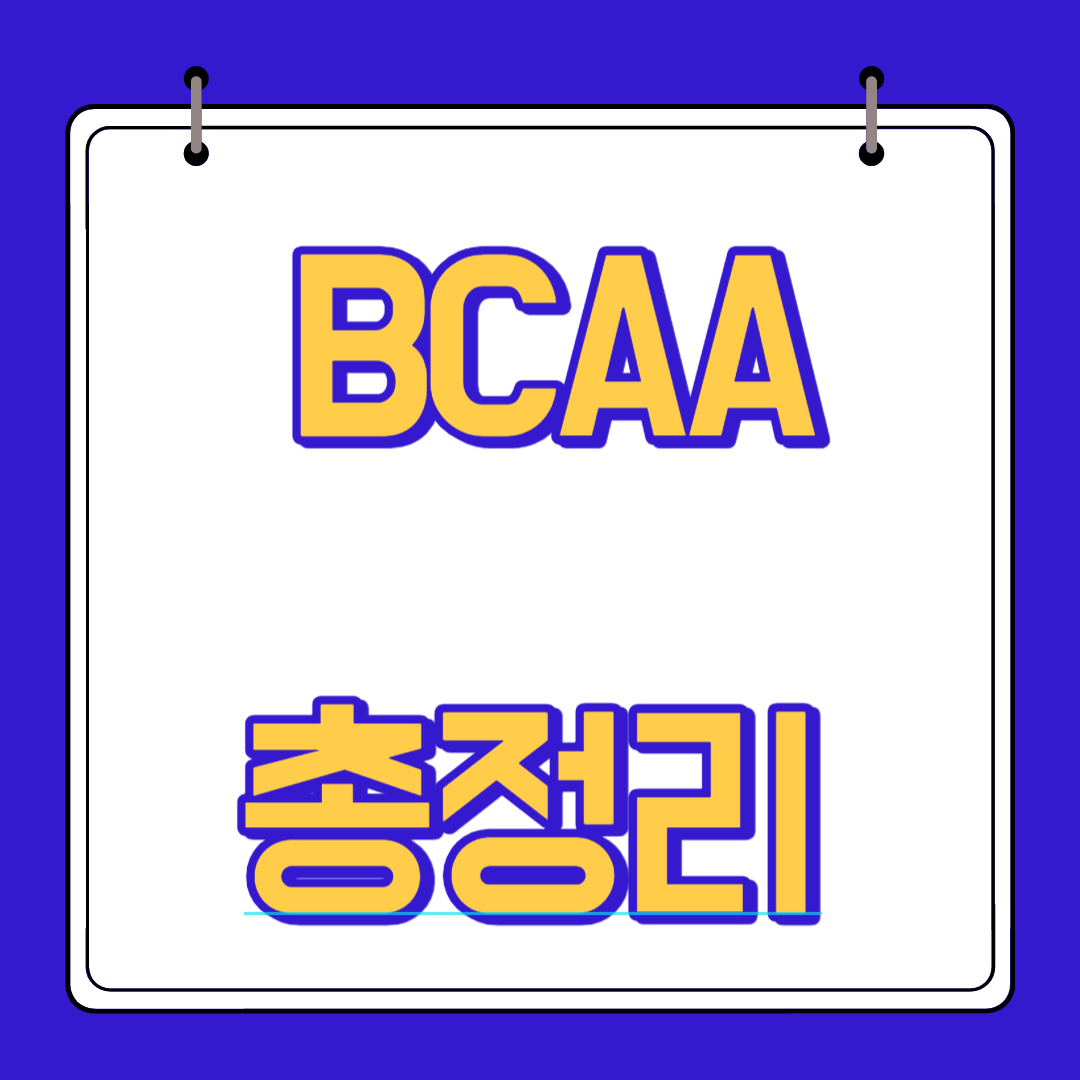  BCAA 섭취량 복용법 효과 부작용 알아보자