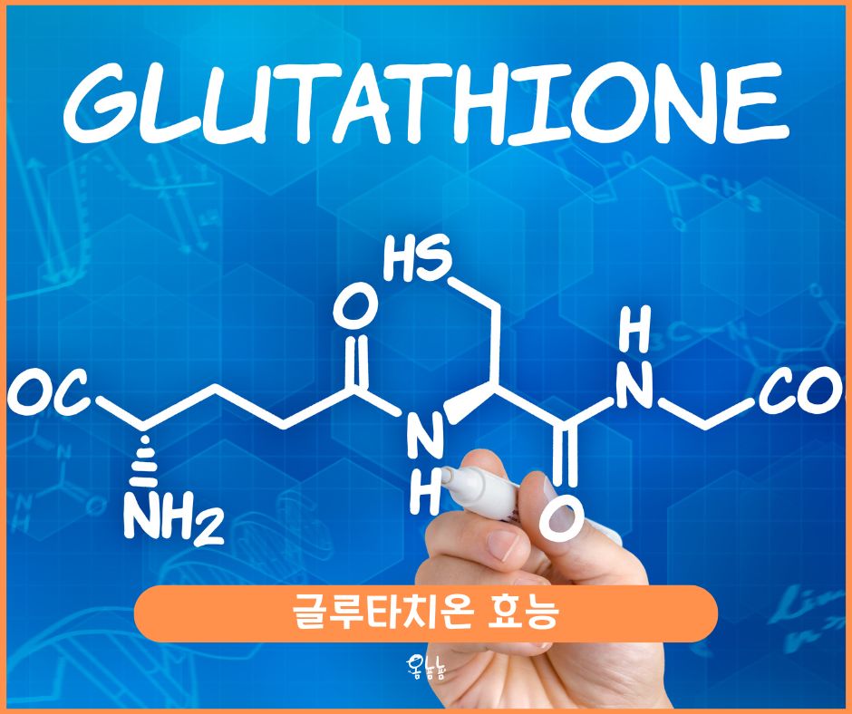 글루타치온 효능