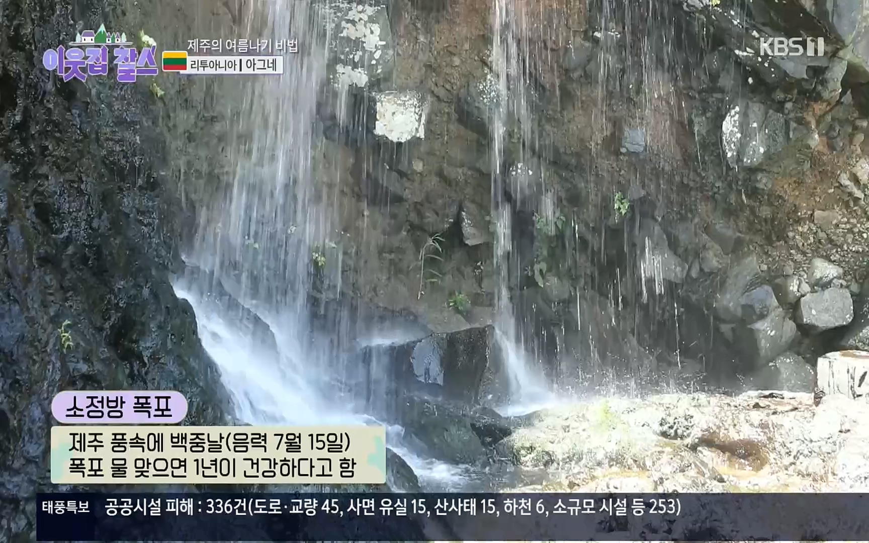 이웃집 찰스.E353.220906p.H264-F1RST.mp4_20220907_211706.203.jpg