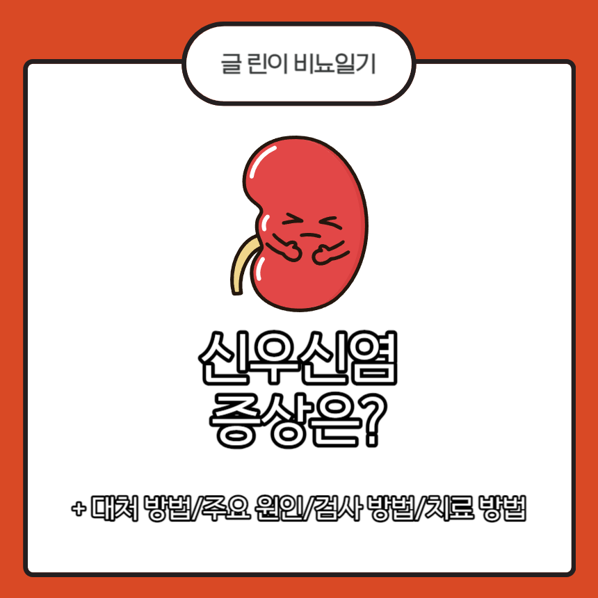  신우신염 증상은?