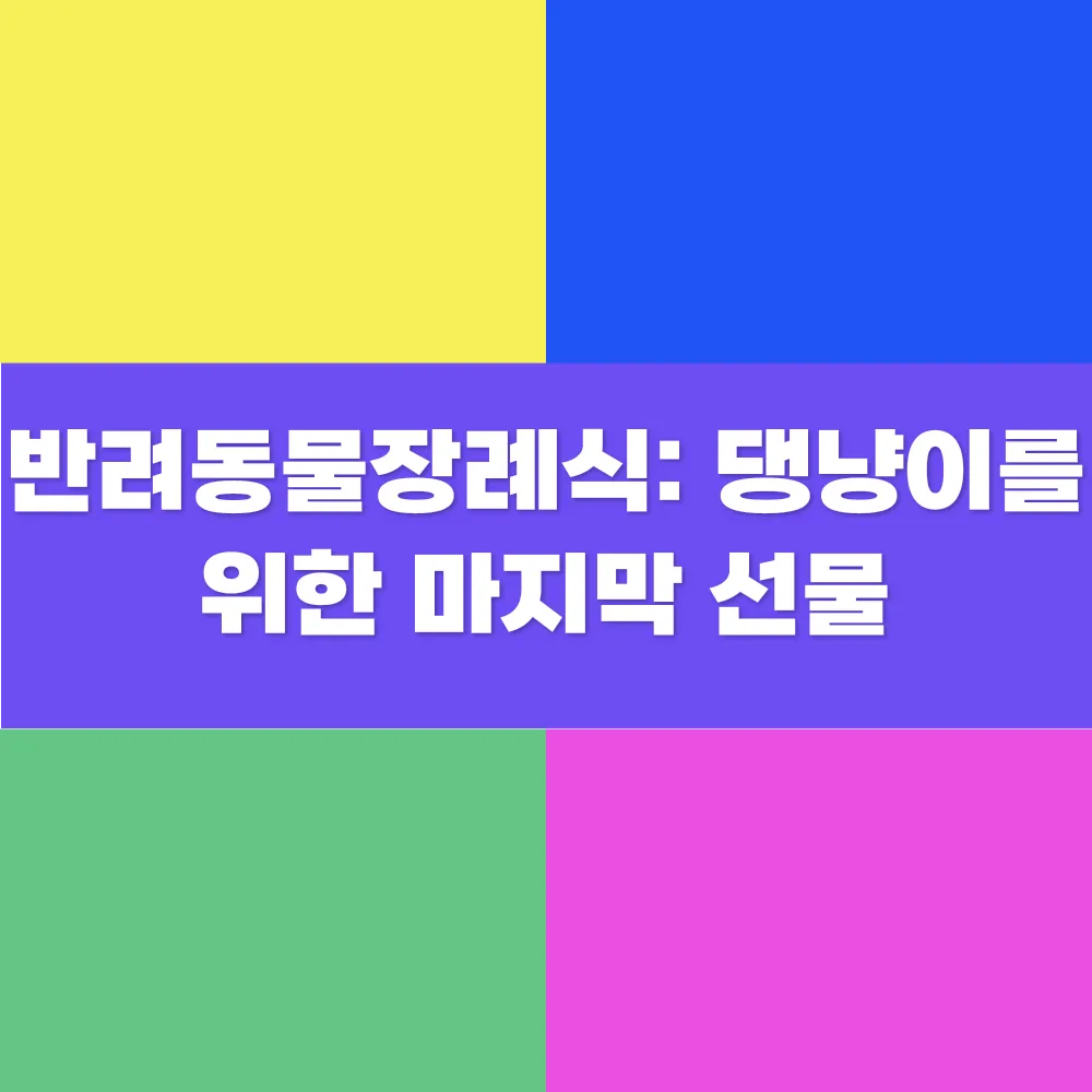 썸네일 이미지