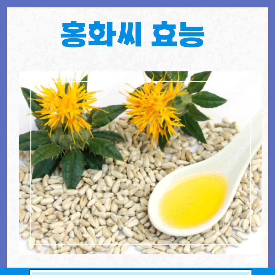 홍화씨 효능 홍화꽃 부작용