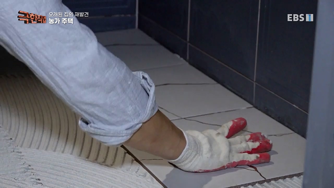 TV - 교육의 중심 EBS오래된 집의 재발견 농가와 도심 주택.mp4_20221120_152001.177.jpg