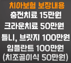  치아보험의 필요성에 대해 정리해보겠습니다.