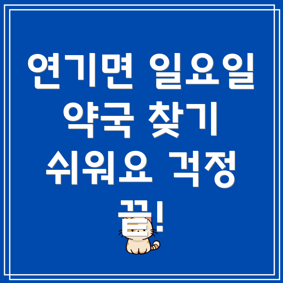 세종시 연기면 일요일 약국