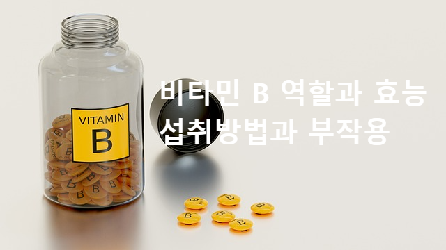 비타민 B