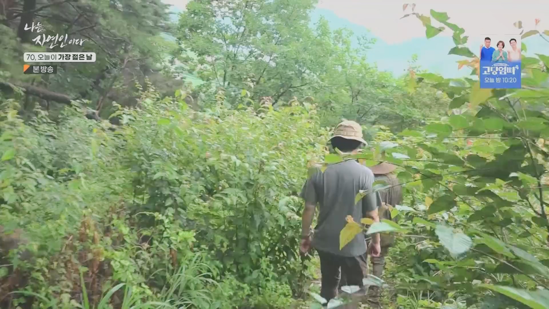 나는 자연인이다.E565.230802p.H264-F1RST.mp4_20230803_203403.672.jpg