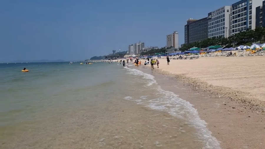 대천해수욕장 이미지