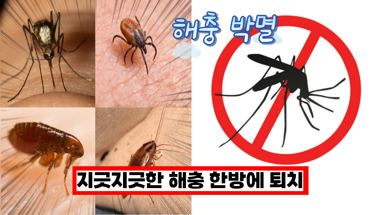  '이거 해놓으면 날파리가 싹 사라집니다.' 지긋지긋한 해충 한방에 퇴치