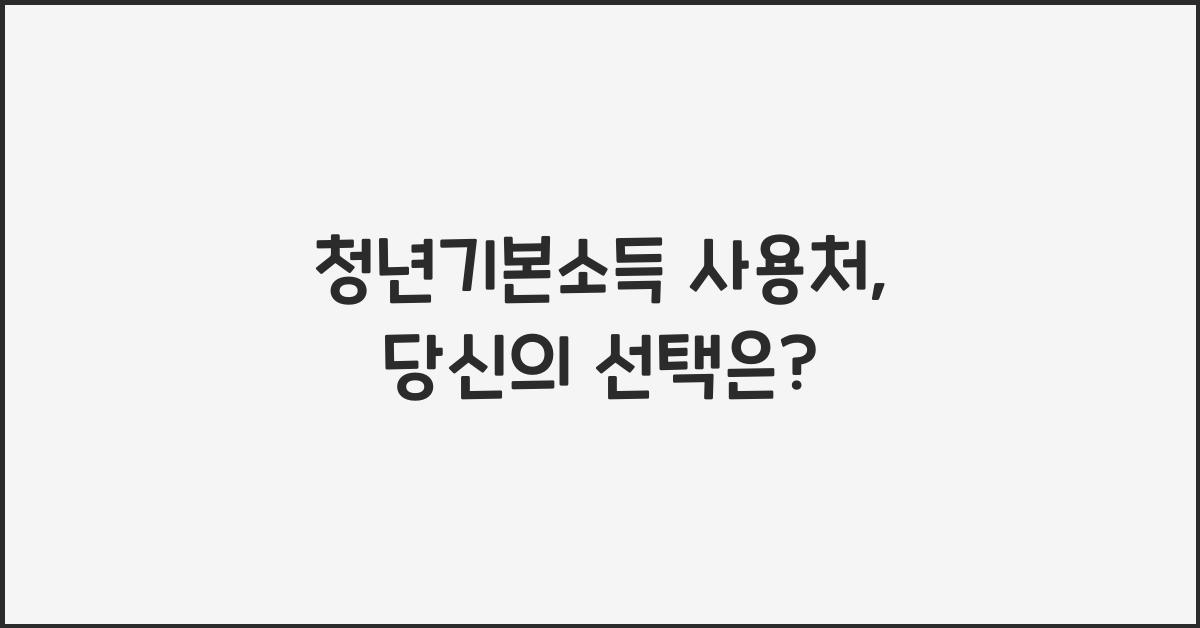 청년기본소득 사용처