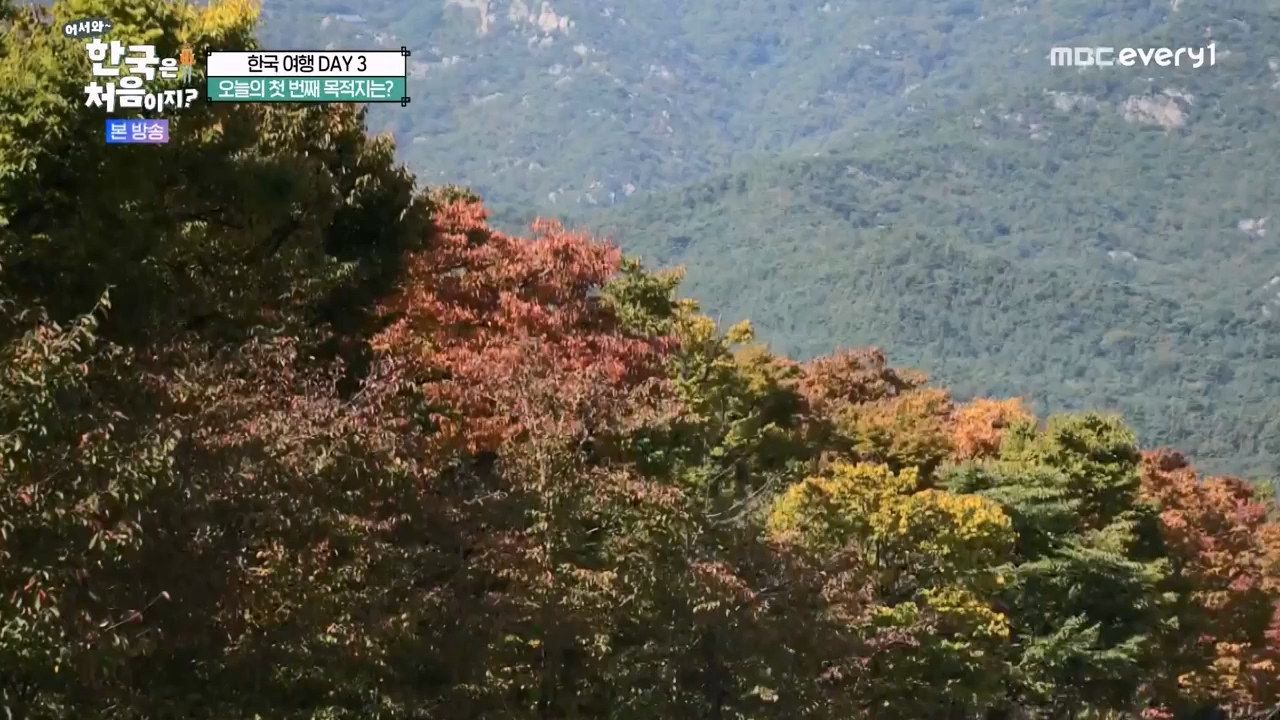 어서와 한국은 처음이지 시즌2.E291.231131p-NEXT.mp4_20231201_202422.553.jpg
