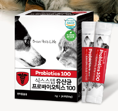 강아지유산균추천:식스스텝 프로바이오틱스 100억 유산균
