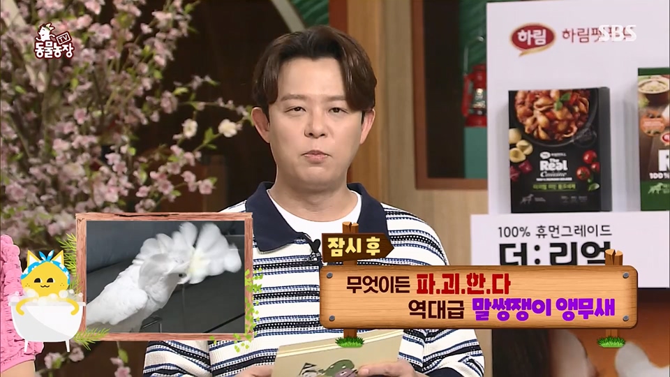 TV 동물농장.E1124.230611p.H264-F1RST.mp4_20230611_173530.709.jpg