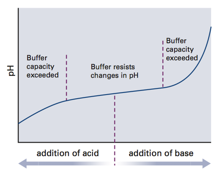  완충용액 (Buffer Solution) 