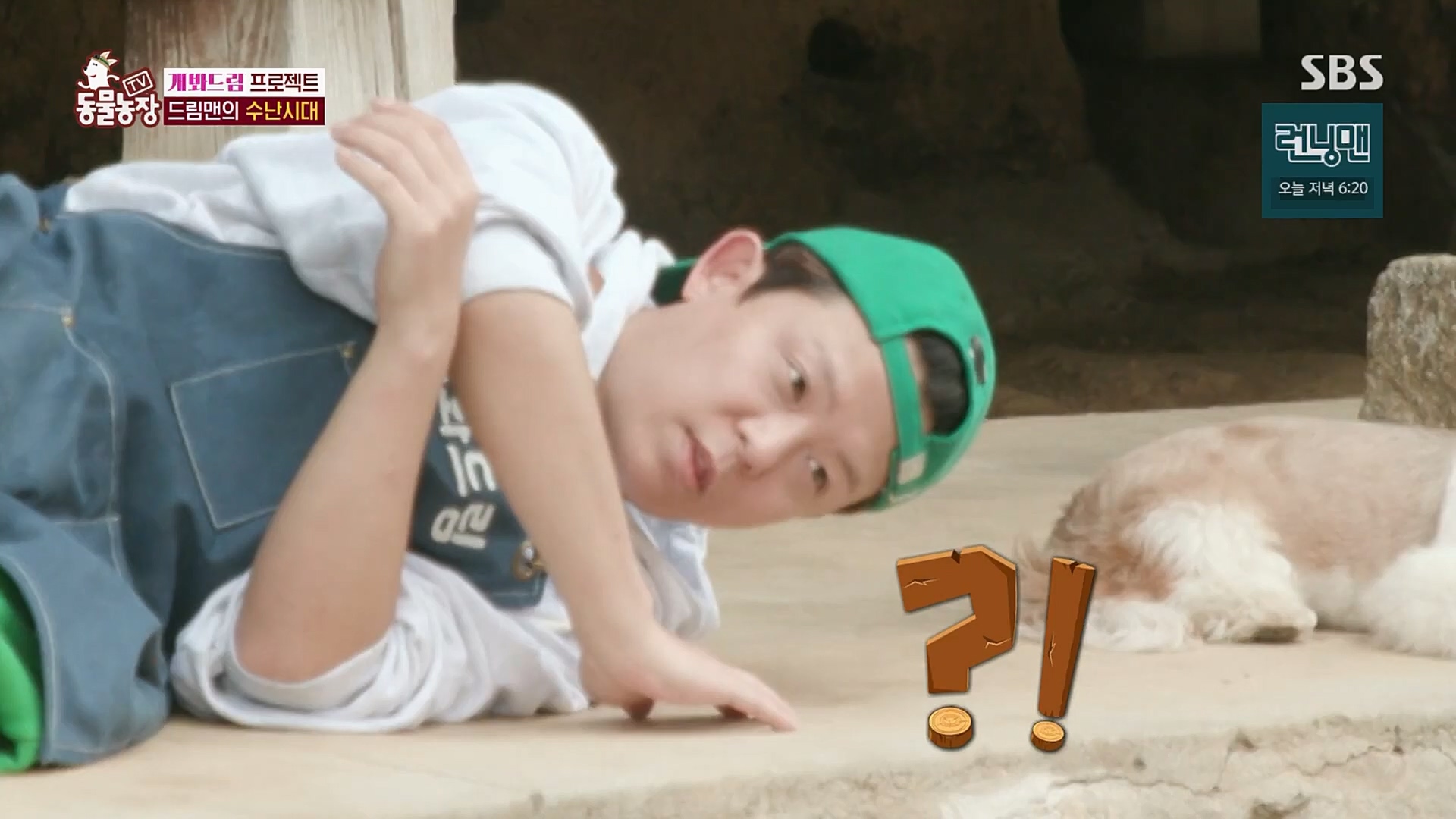 TV 동물농장.E1103.230108p.H264-F1RST.mp4_20230108_174649.213.jpg