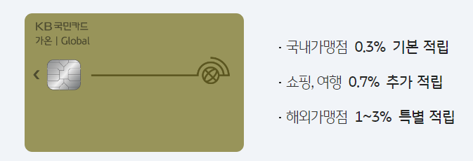  KB 국민 카드 가온 글로벌 카드