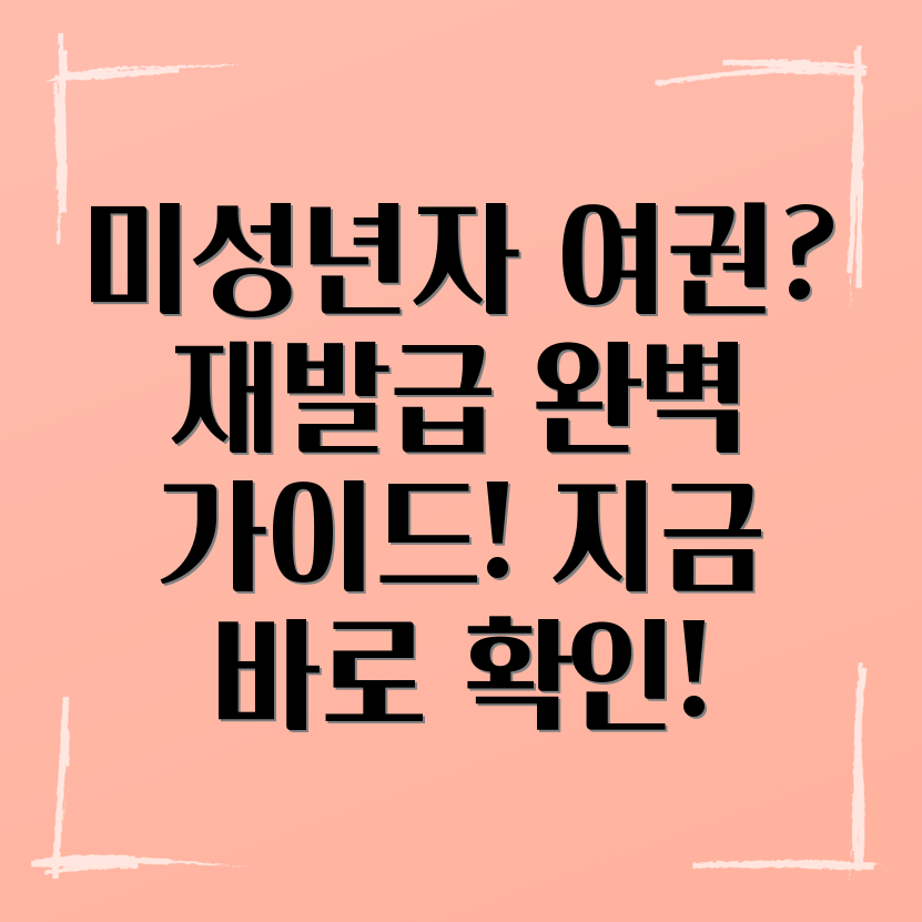 미성년자 여권 재발급