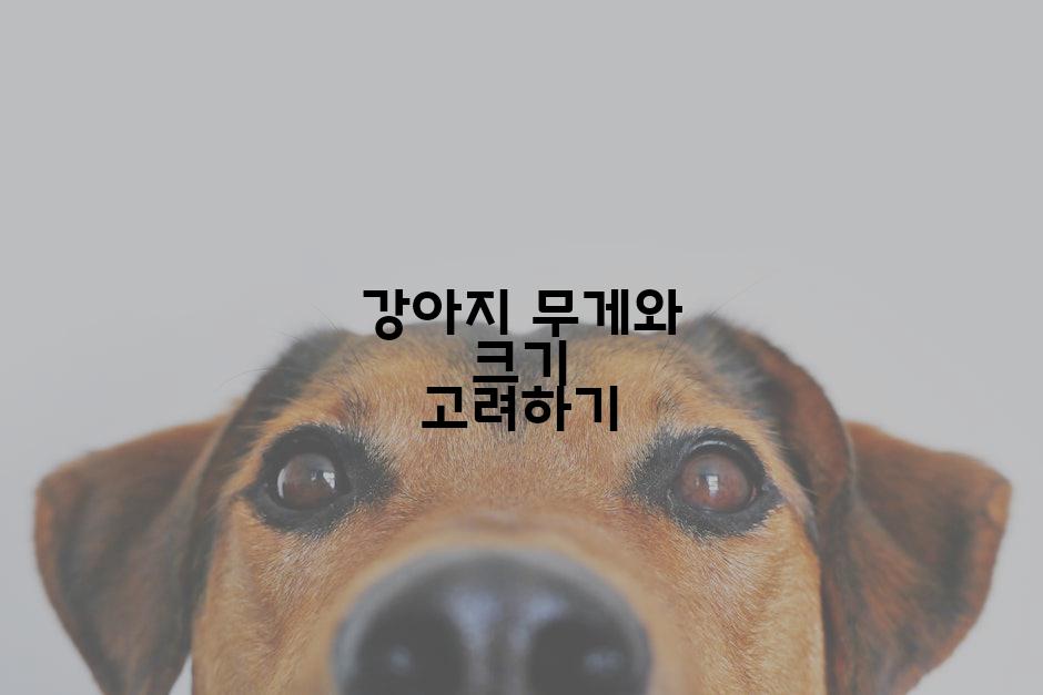 강아지 무게와 크기 고려하기