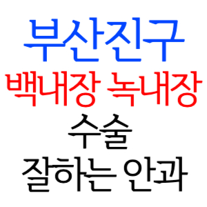 부산진구 백내장 녹내장 수술잘하는곳 안과 병원 추천 후기 수술 가격 비용 비교 스마일라식 라섹 드림렌즈 노안 노인 근시 시력교정 렌즈 시력검사