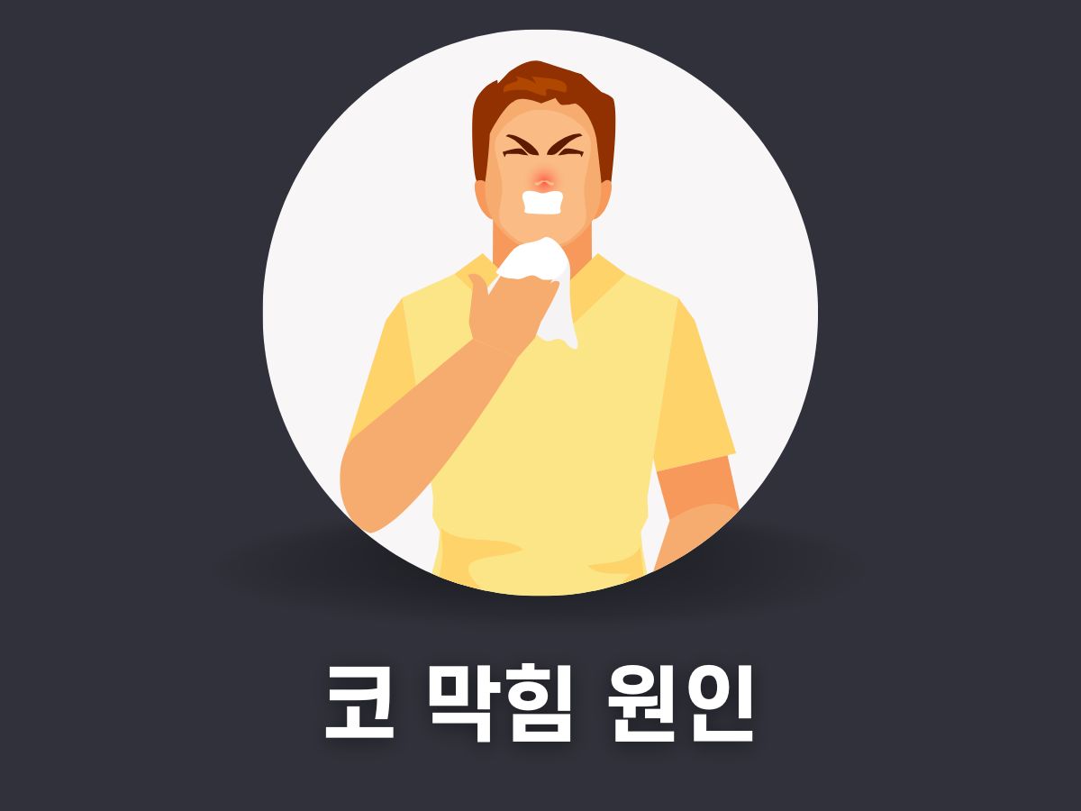 코막힘 원인